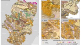 GIS technology to solve problems with land use visualization